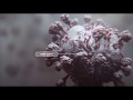 Ruqyah ISLAMIC For Virus Infection Corona Virus COVID 19 Ruqyah Shariah
