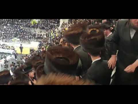 Viznitz - Seret Viznitz Wedding - Sivan 5781