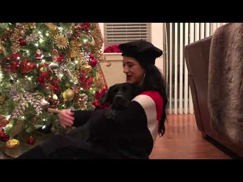 Merry Christmas from Joy and my guiding angel Arabella Faith!