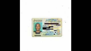 JPEGMAFIA - Williamsburgh (Lyrics)