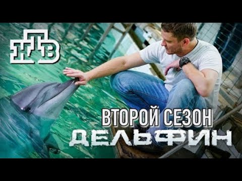 Трейлер