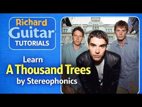 A Thousand Trees - Stereophonics
