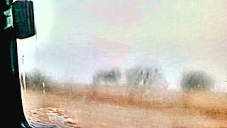 PASO DEL NORTE tremendos gavilanes