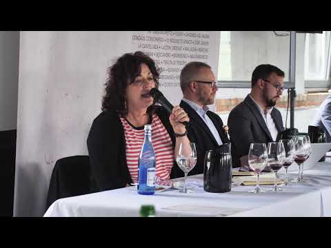 Il Molino di Grace Chianti Classico Gran Selezione IL MARGONE 2011 - VINI E AFFINI #skincontact2018