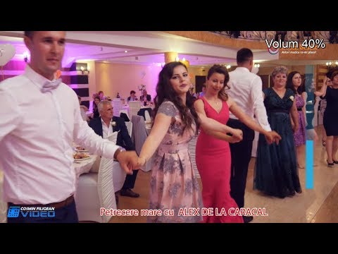 NOU 2019 - CEA MAI TARE SARBA LIVE CU TARAFUL OLTENESC ALEX DE LA CARACAL