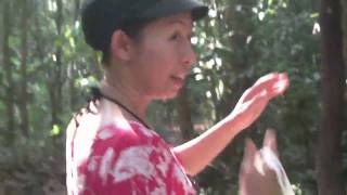 Download lagu Thai Jungle mp3 Download lagu Thai Jungle mp3