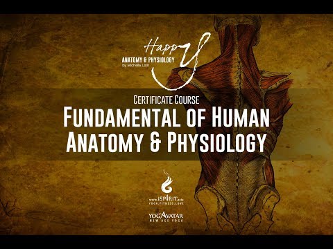 download lagu mp3 mp4 Yoga Course Malaysia, download lagu Yoga Course Malaysia gratis, unduh video klip Yoga Course Malaysia