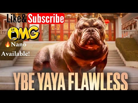 Female Nano fully functional available