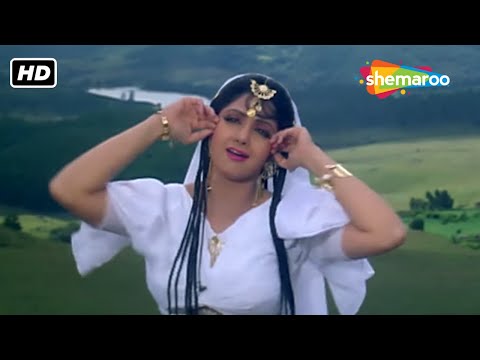 Teri Banjaran - Banjaran | Sridevi, Rishi Kapoor | Alka Yagnik