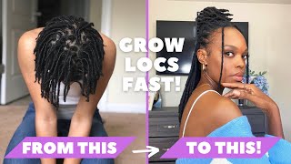 HOW TO GROW LONG HEALTHY LOCS SUPER FAST! | Tips and Products!
