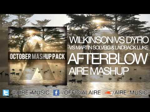 WILKINSON X DYRO X MARTIN SOLVEIG & LAIDBACK LUKE - AFTERBLOW (AIRE MASHUP)