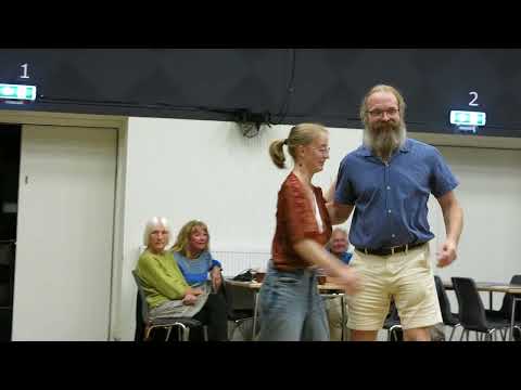 Nylandspojkarna Nerifrån bingsjöpolska (S) / Tjavsmose Trio