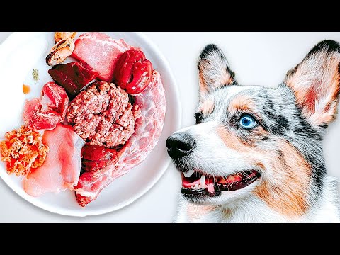 How To Raw Feed Your Dog (Ultimate Beginner's Guide)