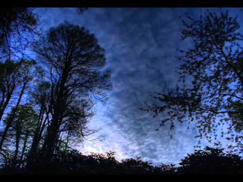 Branka Kraner - Vse te čaka