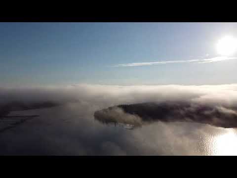 Varjakka ja kyrönkari