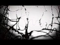 The White Birch - Lamentation (The Weight Of ...