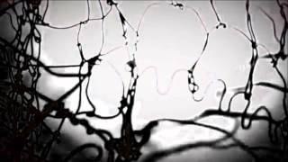 The White Birch - Lamentation (The Weight Of Spring Version)