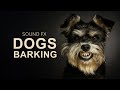 DOGS BARKING | Sound Effects [High Quality]