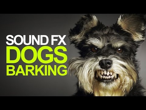 DOGS BARKING | Sound Effects [High Quality]