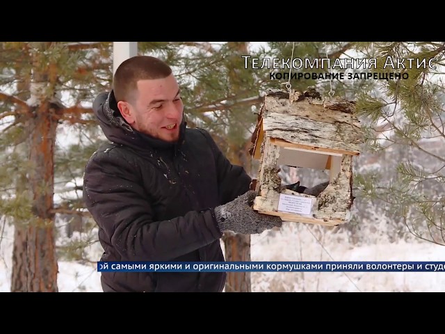 С заботой о птицах