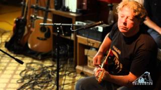 Trackside Carpenter Ants Teaser