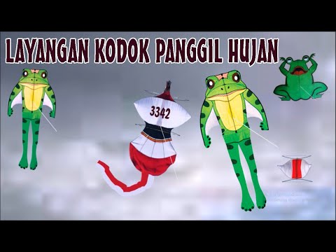 Layangan kodok panggil hujan | Kartun animasi lucu