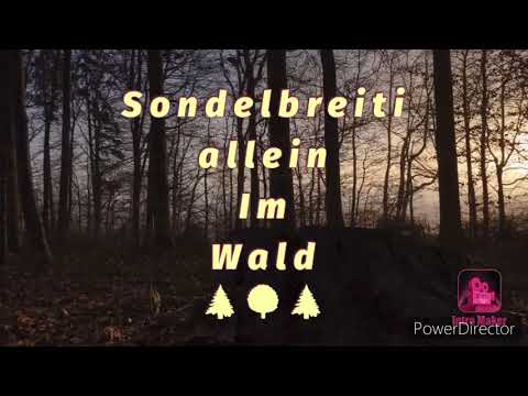 Sondeln Helm und Abzeichen der SA was für Mega Funde heute💪🏻