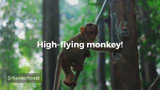 Monkey stole food of lions 🦁