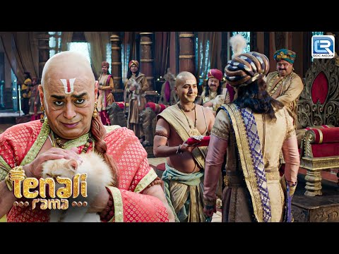 दरबार में आयी बिल्ली का तथाचार्य से क्या है Connection | Tenali Rama Season 2 | Latest Full Episode
