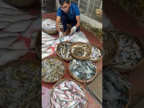 আপনাদের জন্য সরাসরি নদী থেকে সংগ্রহ করা একদম টাটকা ও স্বাস্থ্যকর মাছ #fish #ilishmach #Nahidsworld