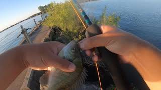 Flyfishing for bluegill in Lorain Ohio