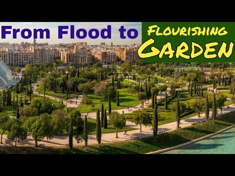 The Turia River’s Transformation – From Flood to Flourishing Gardens