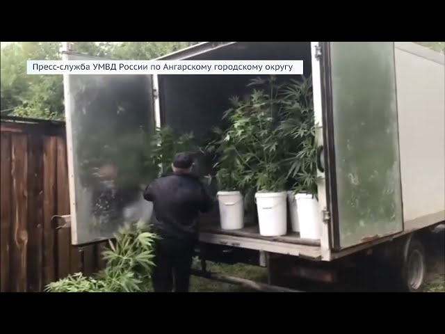 Ангарчан будут судить за сбыт наркотиков