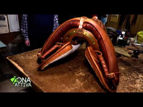 Zonattiva - saddlery