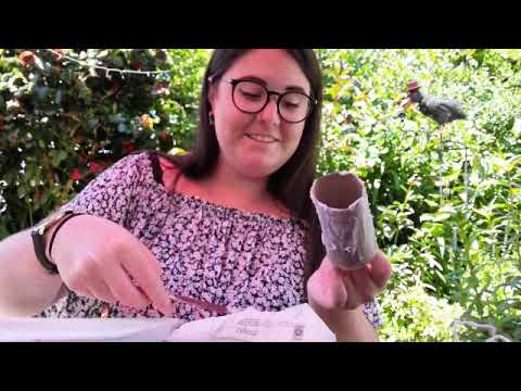 Bird Feeder Toilet Roll Tube