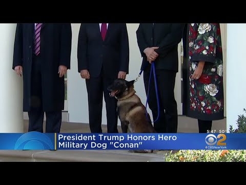 President Donald Trump Honors Hero Military Dog Conan