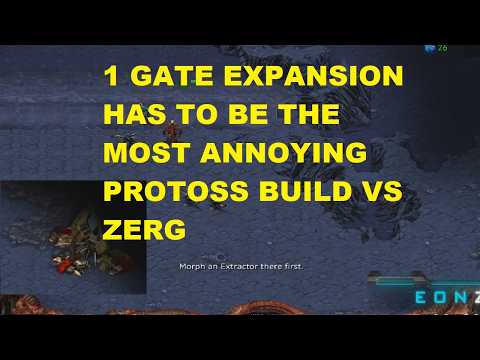 1 GATE EXPANSION HAS TO BE THE MOST ANNOYING PROTOSS BUILD VS ZERG