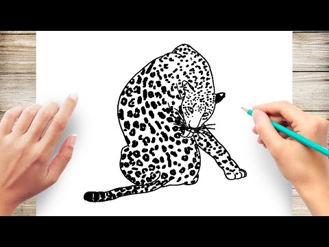 How to Draw A Leopard
