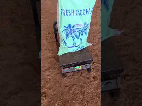 Star Green Basket Trading LLC — fresh produce showcase
