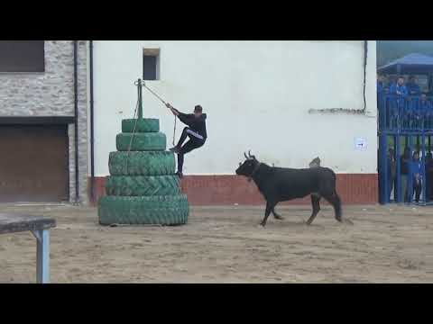 ELS IBARSOS. 13-05-23. GANADERÍA HERMANOS NAVARRÉ Y PRUEBA DE CERRIL