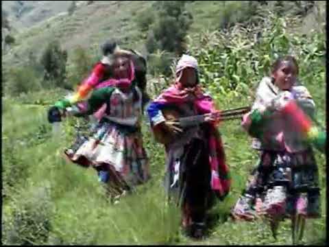 BANDURRIA DE ORO 2003