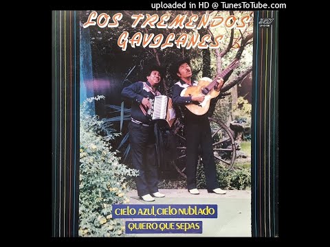 Los Tremendos Gavilanes - Cielo Azul, Cielo Nublado  (Disco Completo)