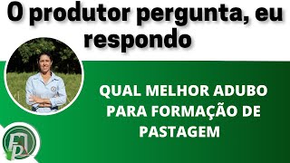 QUAL ADUBO USAR NA FORMAÇÃO DE UM PASTO?