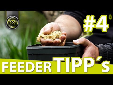 FEEDER TIPP's - #4 Futterkonsistenz
