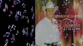 Vagabundo - Valentin Elizalde, El Gallo de Oro | Ebrio de Amor