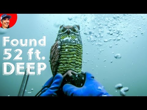 Rescued OWL 52' Underwater while Scuba Diving for Lost Valuables! Video