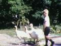 Craig Ginger And The Turkeys Year 1960