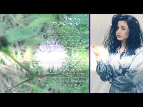 Mimoza - Minh Châu