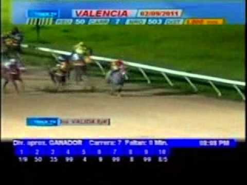 Resumen Viernes, 02 de Septiembre de 2011 - Valencia
