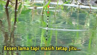 Download lagu waduk logung tak pernah ingkar janji ||mancing nyobok ikan nila mp3 Download lagu waduk logung tak pernah ingkar janji ||mancing nyobok ikan nila mp3
